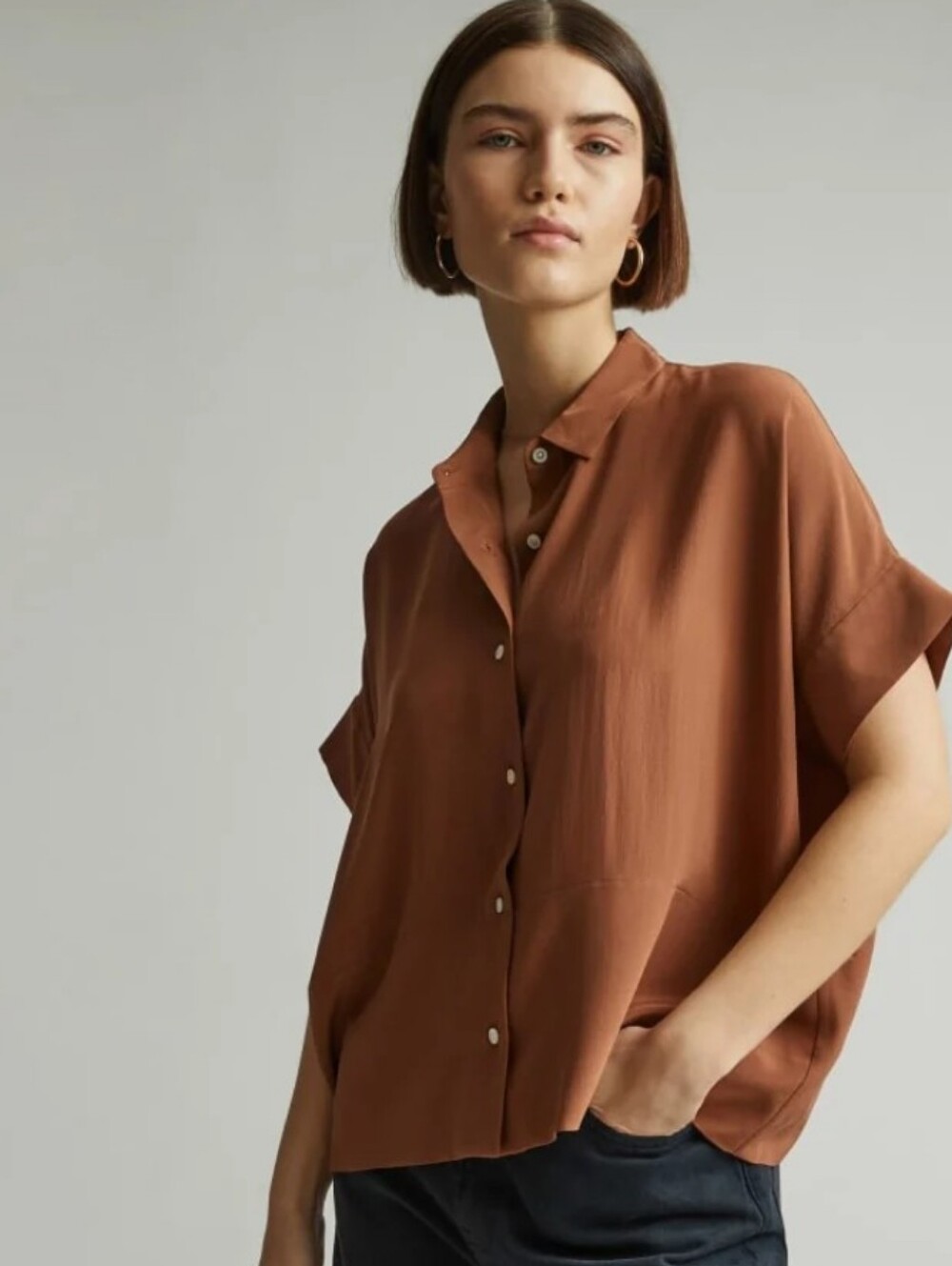 🆕EVERLANE The Boxy Shirt in Washable Silk
